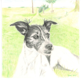 FURRY PORTRAITS