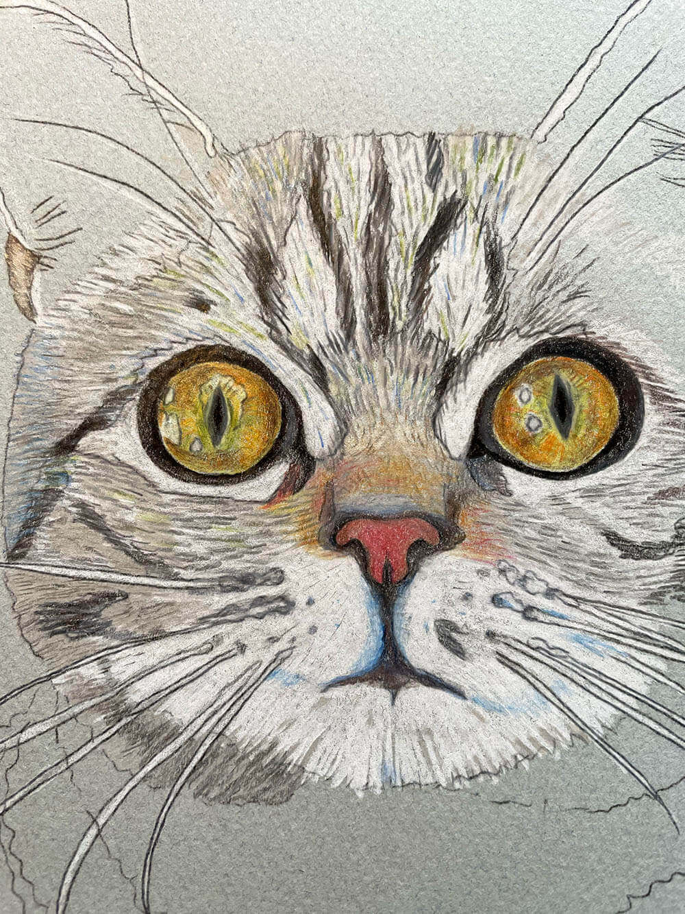 FURRY PORTRAITS