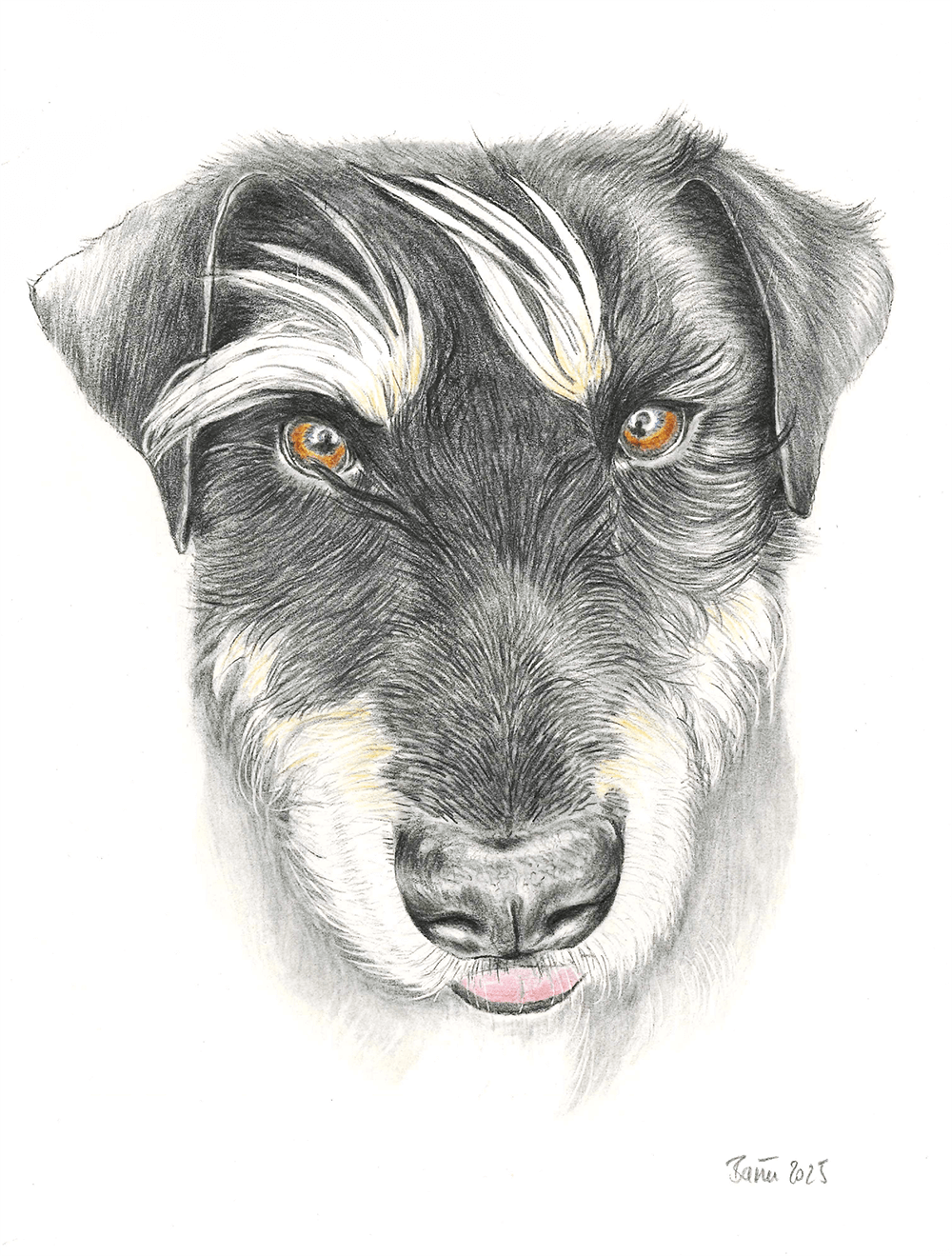 FURRY PORTRAITS