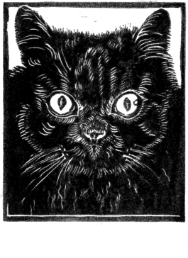 FURRY PORTRAITS