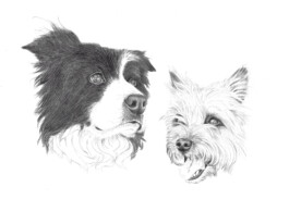 FURRY PORTRAITS